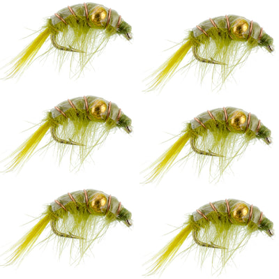 Six olive beaded shrimp scud pattern trout wet flies with green nymphs, size 12, for fly fishing in tailwater lakes.