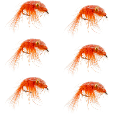 Set of six orange beaded shrimp scud trout wet flies, size 16, designed for tailwater lake fly fishing nymphs.