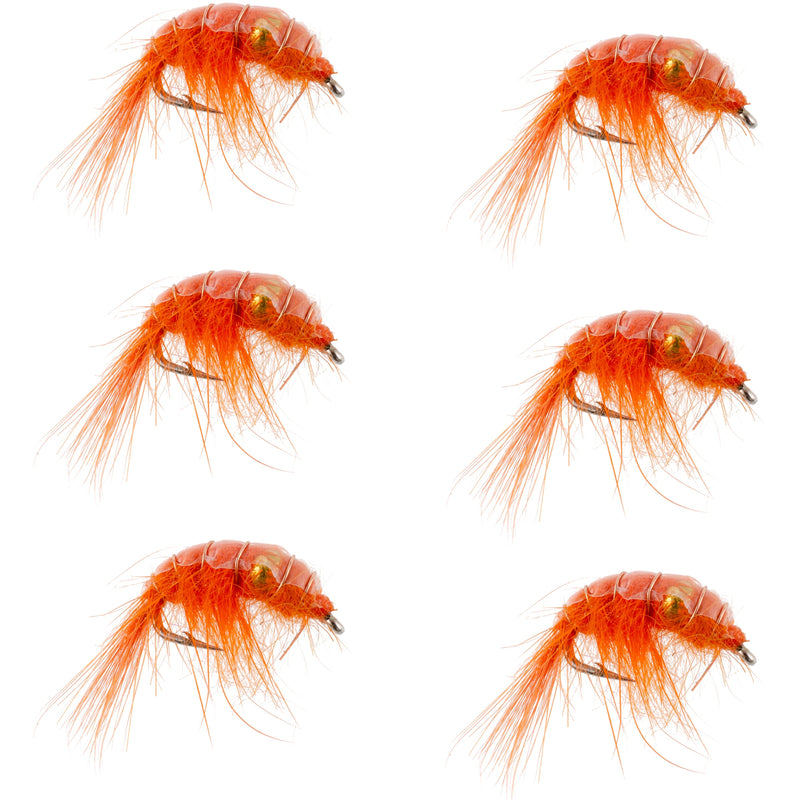Set of six orange beaded shrimp scud trout wet flies, size 16, designed for tailwater lake fly fishing nymphs.