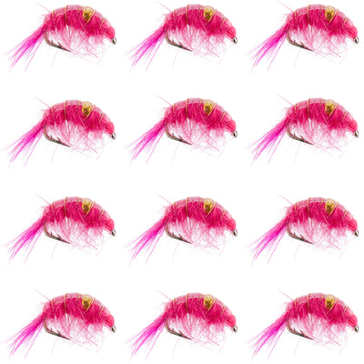 Pink beaded shrimp scud pattern trout wet flies, size 12, for fly fishing, set of 12, designed for tailwater lake trout fishing.