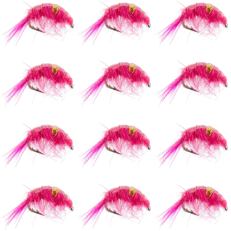 Pink beaded shrimp scud pattern trout wet flies, size 12, for fly fishing, set of 12, designed for tailwater lake trout fishing.