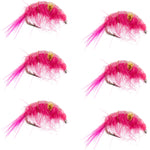 Set of six pink beaded shrimp scud pattern trout wet flies for fly fishing, size 16, designed for tailwater lake fishing.