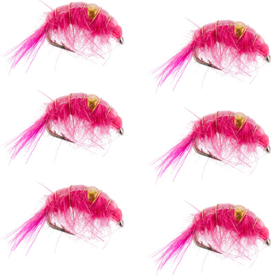 Set of six pink beaded shrimp scud pattern trout wet flies for fly fishing, size 16, designed for tailwater lake fishing.