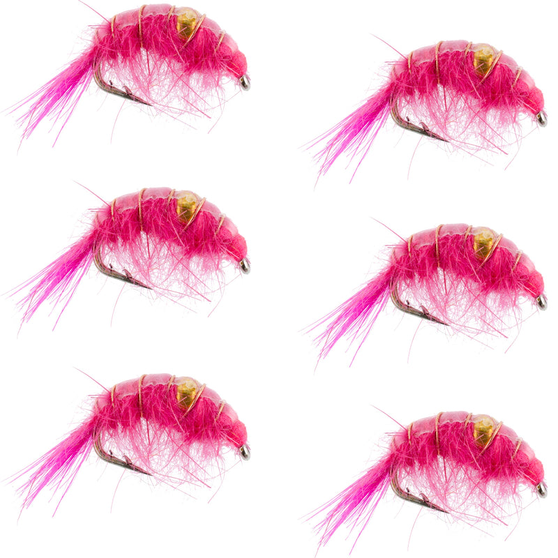 Set of six pink beaded shrimp scud pattern trout wet flies for fly fishing, size 16, designed for tailwater lake fishing.