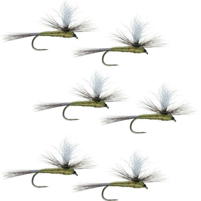 Set of 6 blue winged olive BWO dry flies for trout fishing, barbless parachute style, size 18, by The Fly Fishing Place.