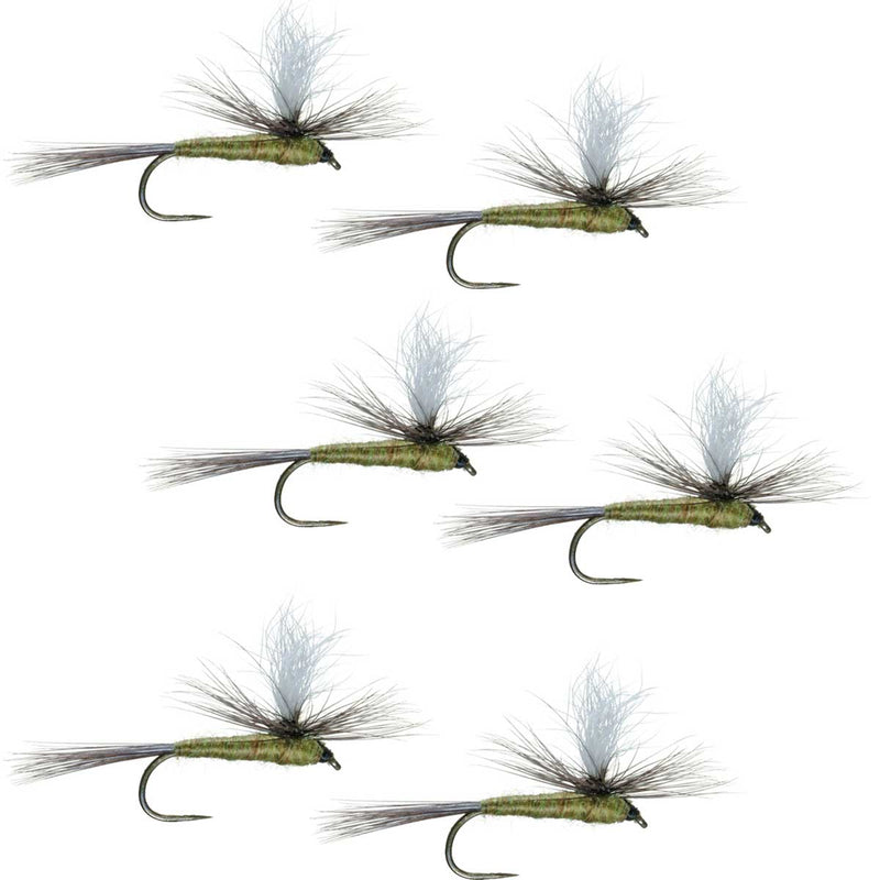 Set of six blue winged olive BWO dry flies for trout fishing, barbless parachute style, size 20, by The Fly Fishing Place.