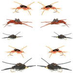 Basics Collection - Kaufmanns Stonefly Assortment - 10 Flies Sizes 4-12