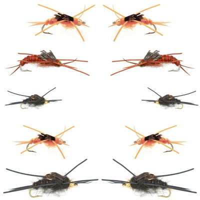 Basics Collection - Kaufmanns Stonefly Assortment - 10 Flies Sizes 4-12