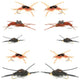 Basics Collection - Kaufmanns Stonefly Assortment - 10 Flies Sizes 4-12