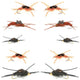 Basics Collection - Kaufmann's Tungsten Stonefly Nymphs 10 Flies  #4-12