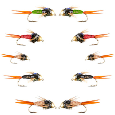 Basics Collection - Bead Copper John Assortment - 10 Flies Sizes 14-18