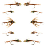 Basics Collection - Beaded Pheasant Tail Nymph Assortment - 10 Flies #14-18