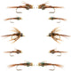 Basics Collection - Beaded Pheasant Tail Nymph Assortment - 10 Flies #14-18