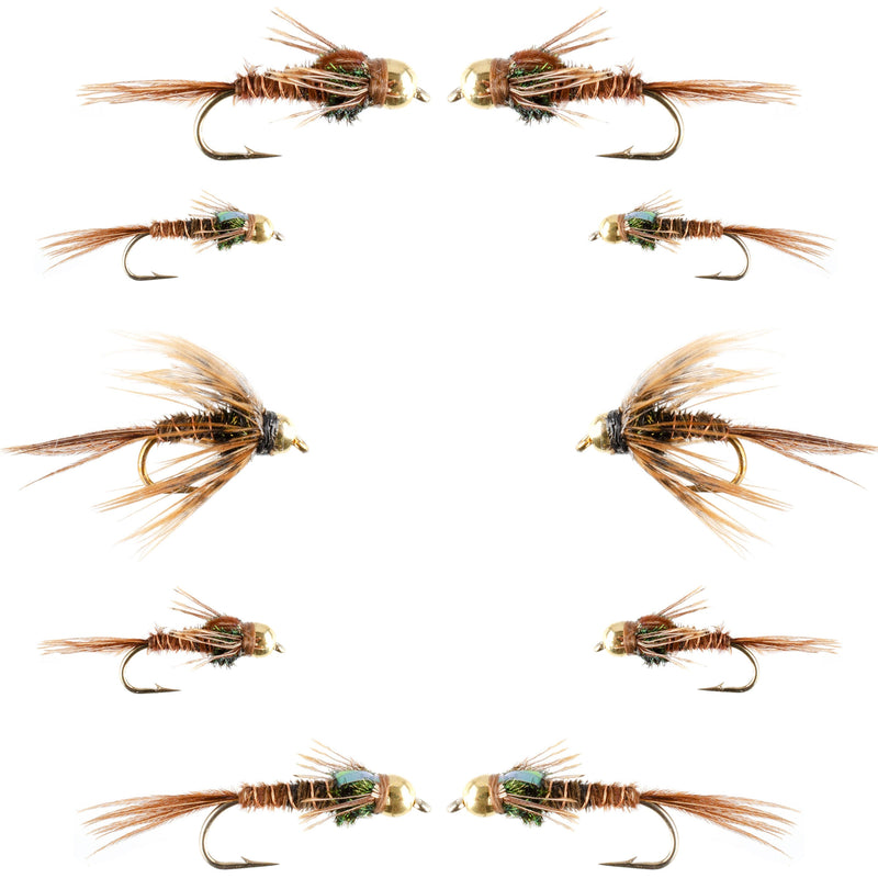Basics Collection - Beaded Pheasant Tail Nymph Assortment - 10 Flies #14-18