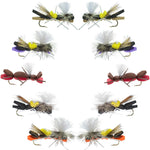 Basics Collection parachute Chernobyl Ant assortment featuring 10 size 10 terrestrial flies for fly fishing.