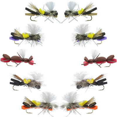 Basics Collection parachute Chernobyl Ant assortment featuring 10 size 10 terrestrial flies for fly fishing.