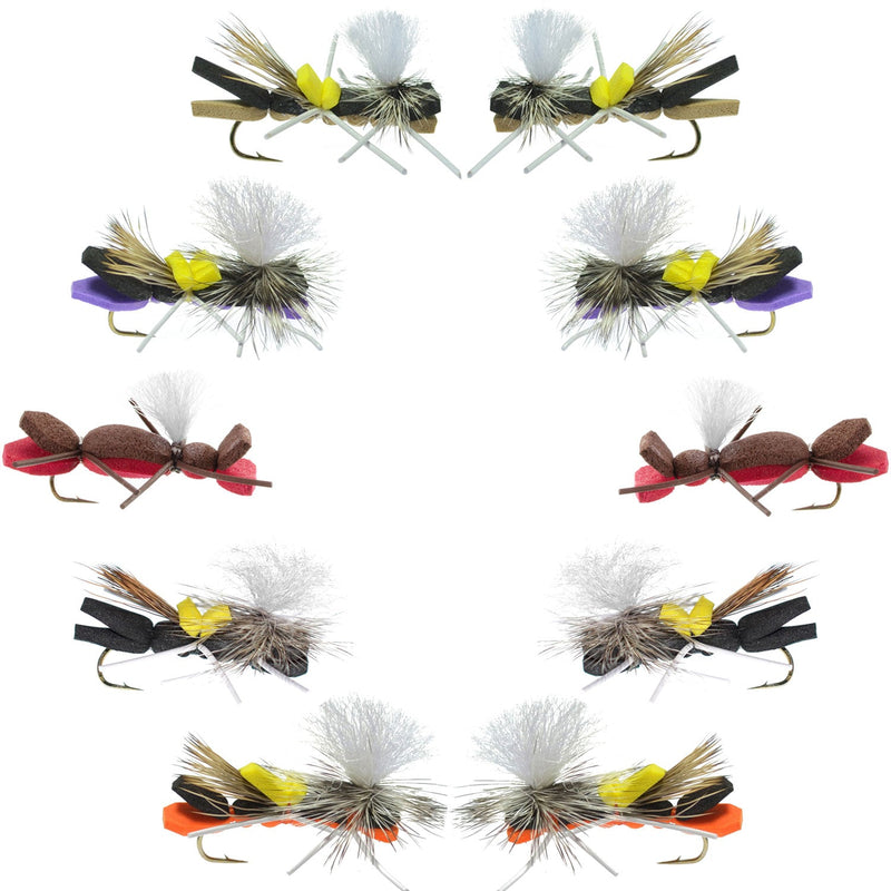 Basics Collection parachute Chernobyl Ant assortment featuring 10 size 10 terrestrial flies for fly fishing.