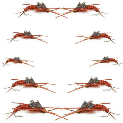 Kaufmann's Brown Stonefly nymphs from the Basics Collection by The Fly Fishing Place, 10 size 6-12 fishing flies for fly fishing.