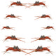 Basics Collection - Kaufmann's Brown Stonefly Kit 10 Flies #Sizes 6-12