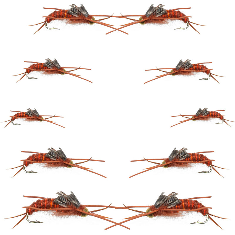 Kaufmann's Brown Stonefly nymphs from the Basics Collection by The Fly Fishing Place, 10 size 6-12 fishing flies for fly fishing.