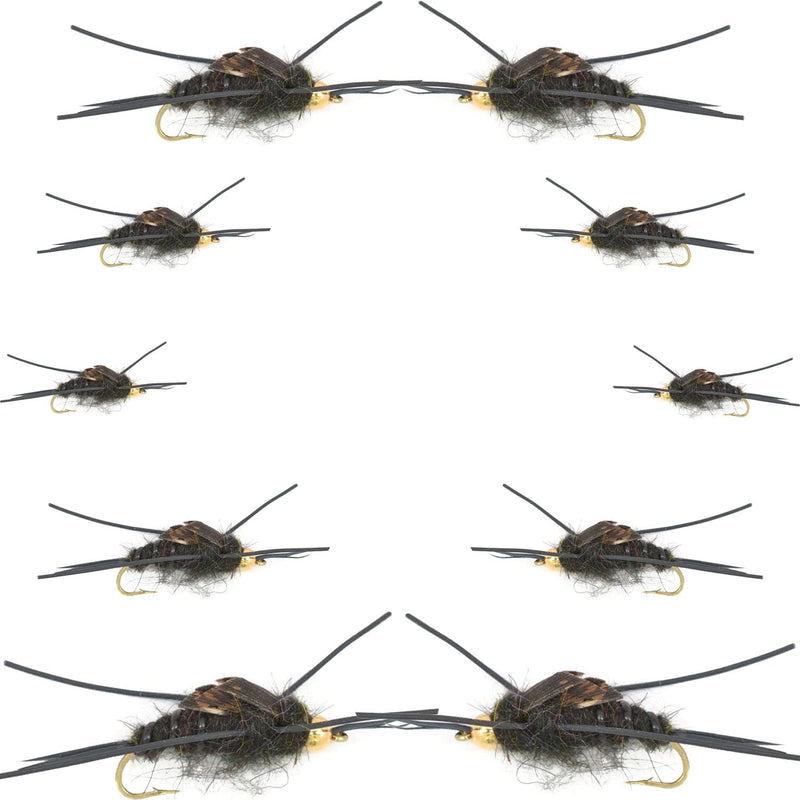 Assorted Kaufmanns Black Stonefly nymph flies from the Basics Collection, 10-piece set for fly fishing, size #4-12.