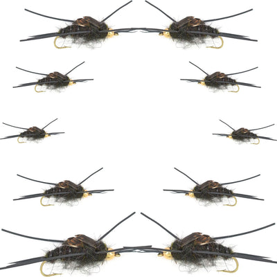 Kaufmann's Tungsten Black Stonefly nymphs from the Basics Collection, 10 flies in sizes #4-12, designed for fly fishing.