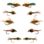 Basics Collection - Bead Head Nymph Assortment - 10 Flies Sizes 12-16