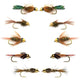 Basics Collection - Bead Head Nymph Assortment - 10 Flies Sizes 12-16