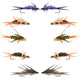 Basics Collection - Double Bead Nymph Assortment - 10 Wet Flies - Size 12