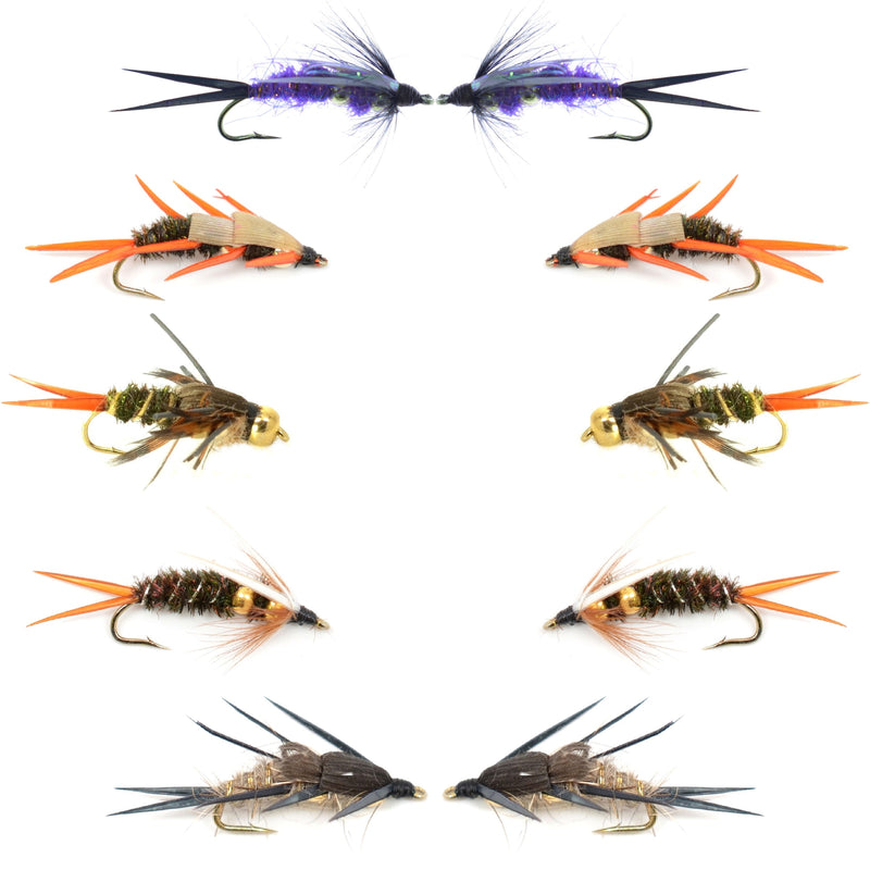 Double bead nymph flies from Basics Collection, size 12, showing detailed wet fly patterns for fly fishing.