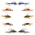Basics Collection double bead nymph flies, size 14, from The Fly Fishing Place, featuring ten realistic fly fishing nymphs for freshwater fishing.