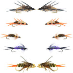 Basics Collection - Double Bead Nymph Assortment - 10 Flies - Size 8