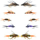 Basics Collection - Double Bead Nymph Assortment - 10 Flies - Size 8