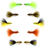 Assorted size 8 Woolly Bugger streamer flies from the Basics Collection by The Fly Fishing Place, featuring 10 colorful fishing flies.