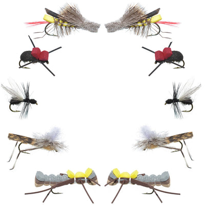 Basics Collection - Terrestrials Fly Assortment - 10 Flies - Sizes 10-14