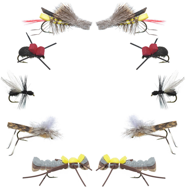 Basics Collection - Terrestrials Fly Assortment - 10 Flies - Sizes 10-14