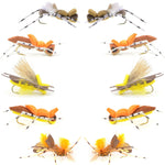 Assorted Basics Collection foam hopper flies in size 10 for fly fishing, featuring natural terrestrial insect patterns.