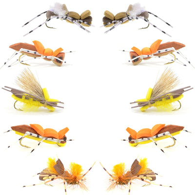 Assorted Basics Collection foam hopper flies in size 10 for fly fishing, featuring natural terrestrial insect patterns.