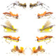 Basics Collection - Foam Hoppers Assortment - 10 Flies - Size 10