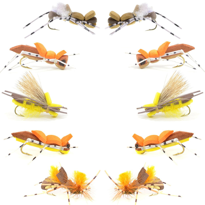 Assorted Basics Collection foam hopper flies in size 10 for fly fishing, featuring natural terrestrial insect patterns.