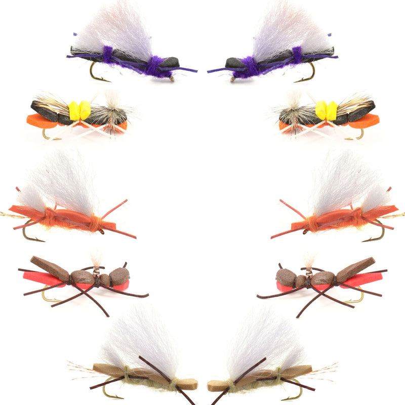 Assorted Chernobyl Ant hopper flies from The Fly Fishing Place Basics Collection, 10 size 10 terrestrials for fly fishing.