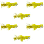Set of six yellow Flashtail Bass Popper flies with weed guard, size 8, for bass fly fishing, by The Fly Fishing Place.