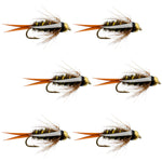 Set of 6 bead head Prince Nymph trout wet flies for fly fishing, size 10 hooks, by The Fly Fishing Place.
