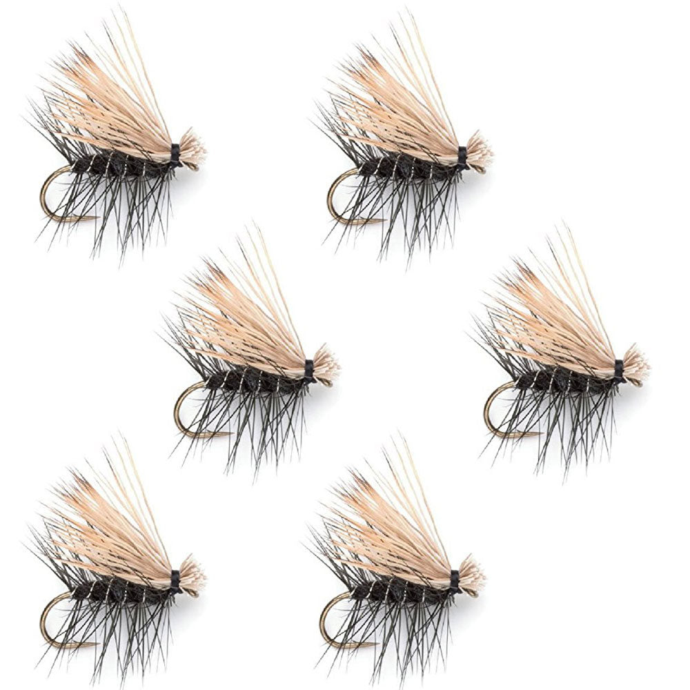 Set of six Black Elk Hair Caddis classic trout dry flies in size 16, designed for fly fishing and freshwater trout fishing.