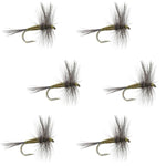 Set of six Blue Winged Olive BWO trout dry flies in size 18, designed for freshwater fly fishing by The Fly Fishing Place