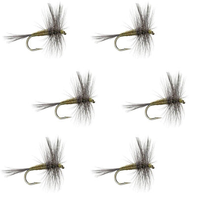 Set of six Blue Winged Olive BWO trout dry flies for fishing, size 20, with detailed blue wings and realistic fly patterns.