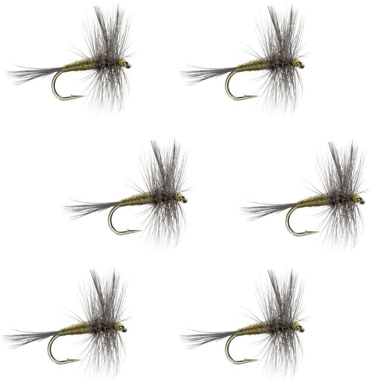 Set of six Blue Winged Olive BWO trout dry flies for fishing, size 20, with detailed blue wings and realistic fly patterns.