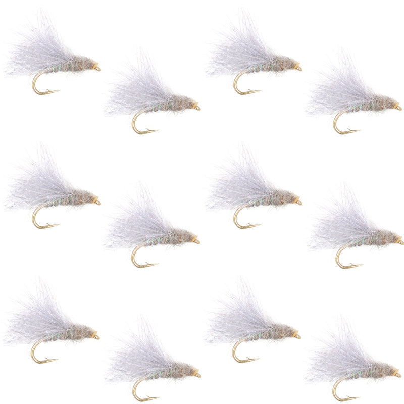 Set of 12 CDC Baetis Emerger BWO wet flies for trout fishing, size 14, featuring realistic fly hooks and detailed fly patterns.