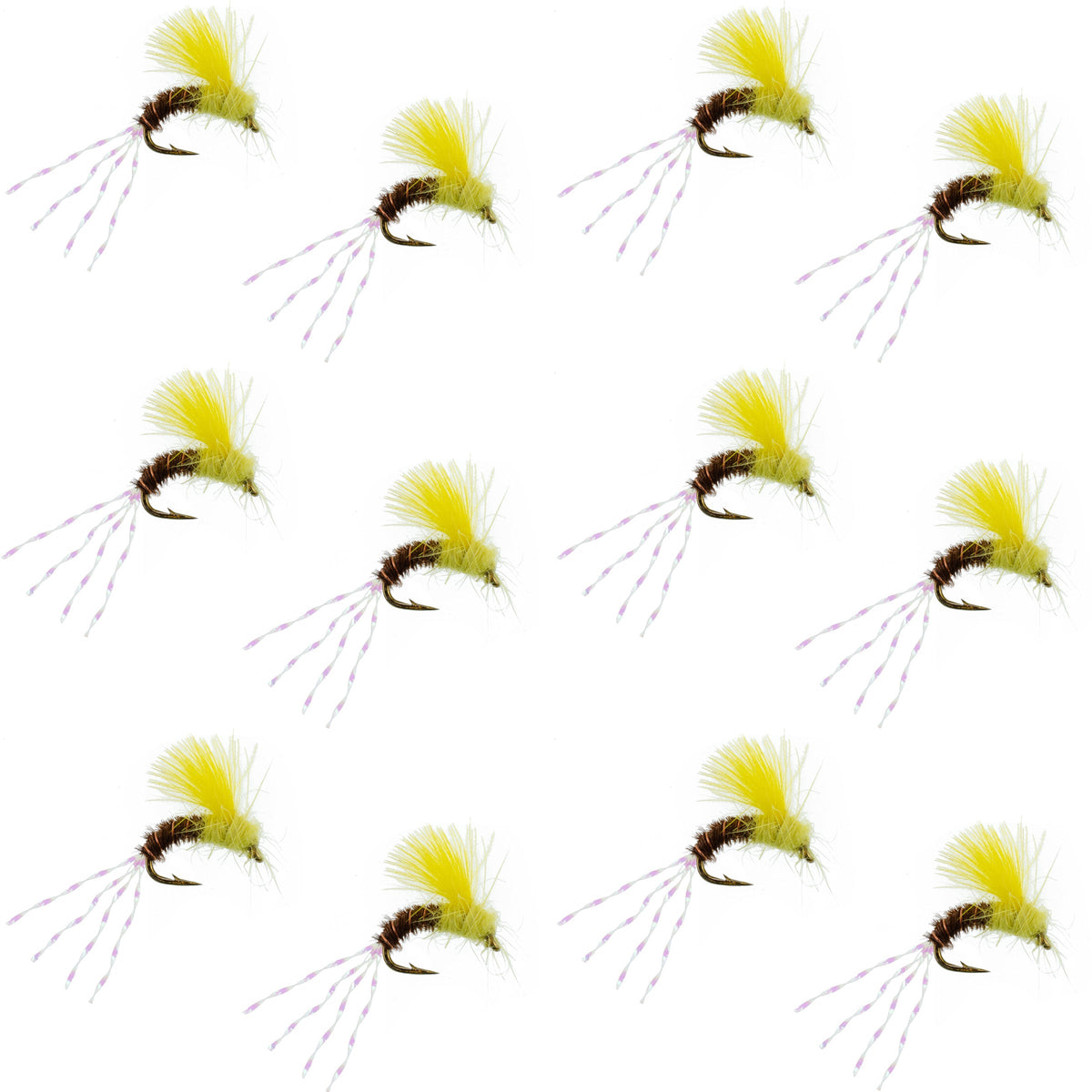 Set of 12 CDC Pale Morning Dun Emerger PMD trout wet fishing flies, size 16, from The Fly Fishing Place.