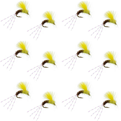 Set of 12 CDC Pale Morning Dun Emerger PMD trout wet fishing flies, size 16, from The Fly Fishing Place.